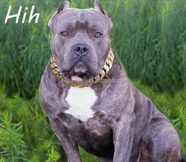 Starke Edelstahl Hund halskette choke kette kragen gold hund schlange kette großhandel produkte für pet shop