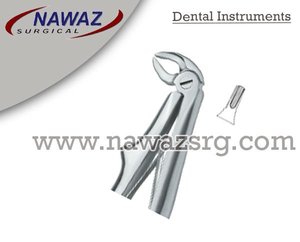 คีมถอนฟัน รุ่นที่ 7 คุณภาพสูง ผลิตจากสแตนเลสสตีล ได้รับการรับรองมาตรฐาน CE พร้อมโลโก้ตามสั่ง - Product Image 2