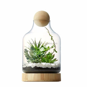 hausgemachte desktop-dekoration glas terrarium für glas und holz pflanzen terrarium mit holzsockel & kugel - Product Image 5