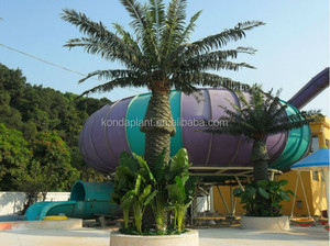 ต้นปาล์มเทียมทรงกษัตริย์ สำหรับตกแต่งภายนอกอาคาร แบบขนหางจิ้งจอก - Product Image 4