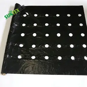 top quality ldpe Mulching sheet for covering strawberry tomato/agricultural anti grass plastic mulch layer with hole