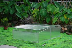 Home Agricultural Green House /waterproof Easy Clean Mini Green House/mini <strong>Greenhouse</strong>