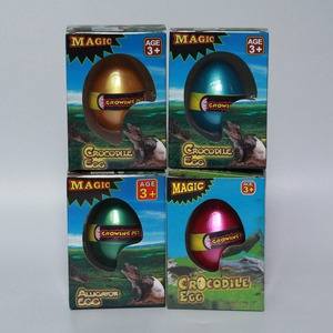 Œufs <span class=keywords><strong>de</strong></span> <span class=keywords><strong>crocodile</strong></span> à éclore, vente chaude, approvisionnement en usine - Product Image 4