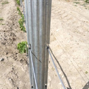 Estacas de <span class=keywords><strong>Madera</strong></span> que Reemplazan a los <span class=keywords><strong>Postes</strong></span> Metálicos Galvanizados, Resistentes a la Putrefacción, Ecológicas para Viñedos - Product Image 5