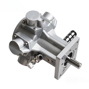 Pistonlu hava motoru AM6 küçük pistonlu hava motoru, pnömatik <span class=keywords><strong>motor</strong></span> için hava karıştırıcı - Product Image 4
