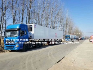 2-axles 20ft New DIESEL nhiên liệu hộp <span class=keywords><strong>s</strong></span>ố Tay tủ lạnh <span class=keywords><strong>container</strong></span> Trailer nhỏ <span class=keywords><strong>s</strong></span>ử dụng tủ lạnh Trailer - Product Image 4