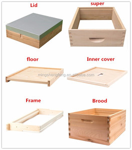 Colméia Langstroth 2 camadas 10 Quadro Completo casa - Product Image 6