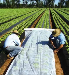 17gsm 2x5m pile di protezione antigelo per piante in polipropilene non tessuto uv