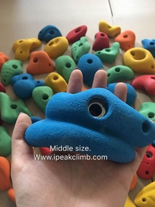 1000 + Mô hình có sẵn khối lượng lớn làm cho leo núi giữ với Giao hàng nhanh chóng - Product Image 2
