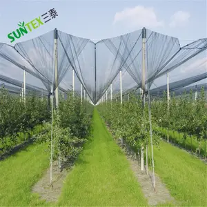 Weinberg 50g/m2 anti hagel netting/Landwirtschaft anti hagel net für apple baum HDPE kunststoff netto