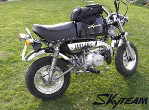 سكاي تيم 125cc دراجة بخارية قرد دراجة نارية (EEC EUROV EURO5 المعتمدة) - Product Image 4