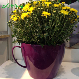 Leizisure Deskpot Nhựa Đầy Màu Sắc Cốc Cà Phê Hình Dạng Hoa Chậu Mug Cây Mọng Nước Trồng Cây Tách Trà Lớn - Product Image 4