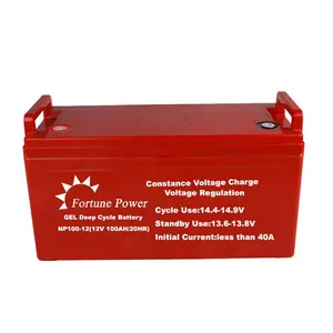 Fortune New Energy Battery Maintenance free gel deep cycle battery 12v 100ah baterias