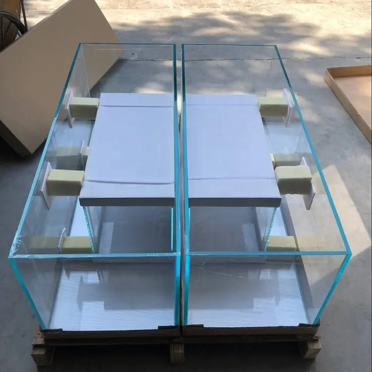 WT1200C High clarity Rimless Low Iron Glass Cube Aquarium Tanks of 120*45*45cm and 12mm thickness