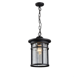 Lampe suspendue étanche à la forme d'une <span class=keywords><strong>CAGE</strong></span>, design industriel LOFT, luminaire d'extérieur, idéal pour un jardin ou un hôtel - Product Image 3