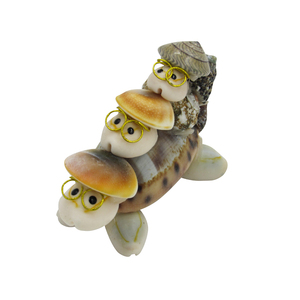 Imán de Nevera con Diseño de Concha Marina, Recuerdo de Playa, Imán de Tortuga de Dibujos Animados de 3 Capas - Product Image 1