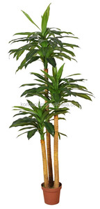 <span class=keywords><strong>Desert</strong></span> <span class=keywords><strong>rose</strong></span> piante artificiali di plastica magnolia albero bonsai di vendita - Product Image 4