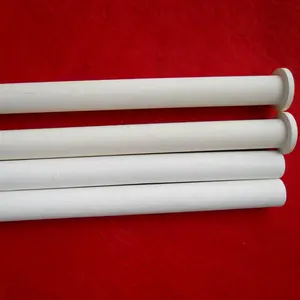 Customized Automatic Absorption Water Porous Ceramic Wick Water Plants Rod