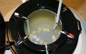 YDH 3 litros cargador seco para el almacenamiento de semen de animales y transferencia de embriones - Product Image 5