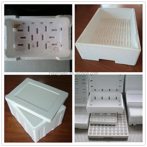 Thiết Bị Khuôn Nhựa Polystyrene Mở Rộng Hộp Cá Xốp - Product Image 6