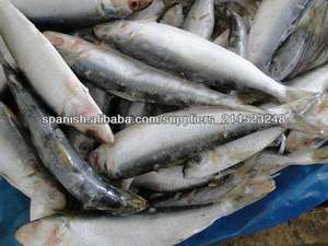 Sardina Congelada - Product Image 1