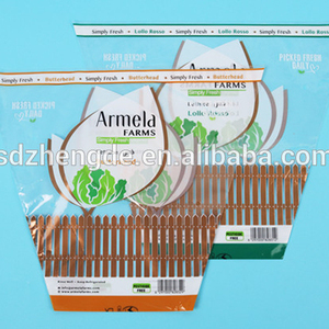 Sac d'emballage de légumes de qualité alimentaire, ml, sac bpp sac trapézoïdale - Product Image 2