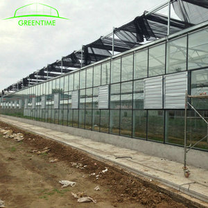 Dự Án Chìa Khóa Trao Tay Nhà Kính Nông Nghiệp Hoàn Chỉnh Với Xây Dựng Nhanh Chóng - Product Image 4