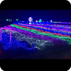 Mát trắng LED <span class=keywords><strong>Net</strong></span> đèn cho bên ngoài trời trang trí DMX thông minh PVC Cổ Tích đèn với IP65 đánh giá phát ra màu sắc màu đỏ màu xanh lá cây - Product Image 5