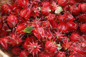 Gmp natural soluble en agua de alta calidad extracto de hibiscus pintura en polvo/pintura en polvo extracto de jamaica - Product Image 4