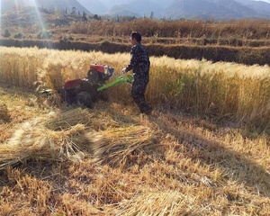 Mini Máy Gặt Đập Liên Hợp Máy Cắt Cỏ/Máy Gặt Đập Lúa Mì Để Bán Từ Nhà Máy Shuliy - Product Image 4