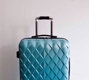 small trolley bolsa vip