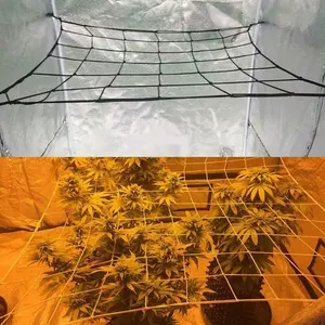 60 × 60 cm 80 × 80 cm 100 × 100 cm Scrog Net Pflanzenstütze Netzzuchtzelt Netz hydroponisch