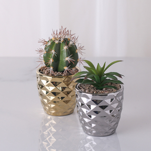 Piante Decorative <span class=keywords><strong>In</strong></span> <span class=keywords><strong>vaso</strong></span> Mini <span class=keywords><strong>Cactus</strong></span> artificiali per la casa <span class=keywords><strong>In</strong></span> <span class=keywords><strong>vaso</strong></span> Color oro e argento per arredamento ufficio da tavolo - Product Image 1