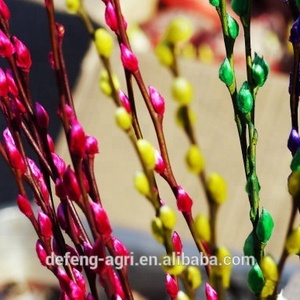 ดอกไม้สดตัดจากประเทศจีนสาขาวิลโลว์แห้ง - Product Image 5