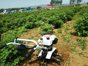 Chine noms Tennma machines agricoles motoculteur jardin bineuse - Product Image 3