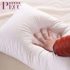 Mewah Grosir King Rumah Klasik Bulu Down Pillow