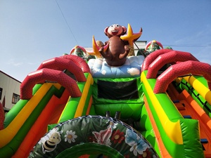 Salida de fábrica Animal Park tema barreras inflables las tobogán <span class=keywords><strong>Castillo</strong></span> para venta - Product Image 4