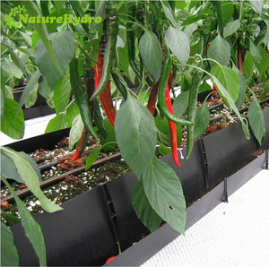 Hệ Thống Máng Thoát Nước Thủy Canh Pp CuộN Cà Chua Trồng Máng Xối - Product Image 5