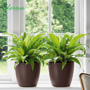 <span class=keywords><strong>Pot</strong></span> de fleurs coloré, <span class=keywords><strong>pot</strong></span> de fleurs en plastique, pots similaires Lezisure - Product Image 1