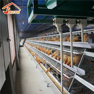 egg chicken layer/broiler cage for poltry equipment for sale Layer Poultry Farm Design