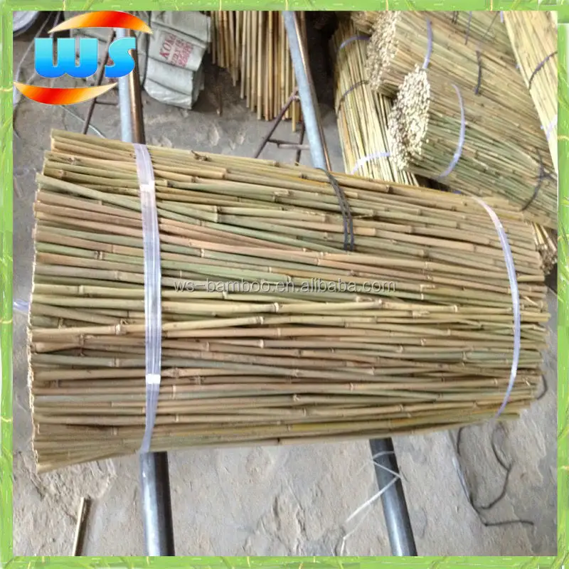 Agriculture tool/Bamboo cane for support grape growing 90cm 8/10mm
