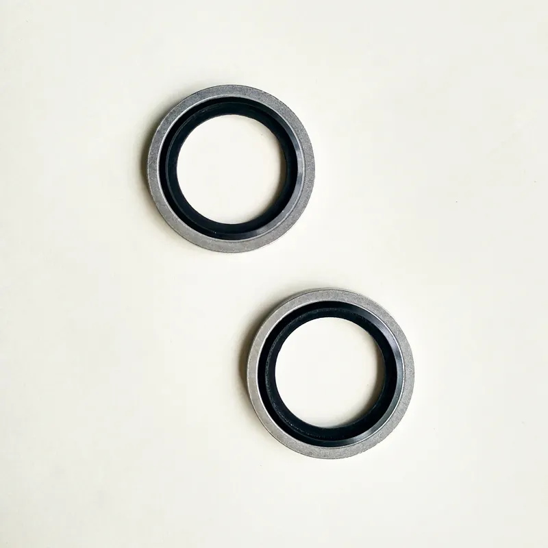 High Quality Self Centralising 316 Stainless Steel Dowty Seal Gasket NBR Rubber Bonded Seal Washer G3/4