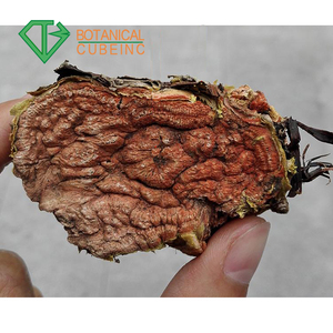 B.C.I kaynağı Natrual <span class=keywords><strong>Rhodiola</strong></span> <span class=keywords><strong>Rosea</strong></span> L suda çözünür <span class=keywords><strong>Rhodiola</strong></span> <span class=keywords><strong>Rosea</strong></span> özü Rosavin 3% Salidroside % 1% toz - Product Image 3