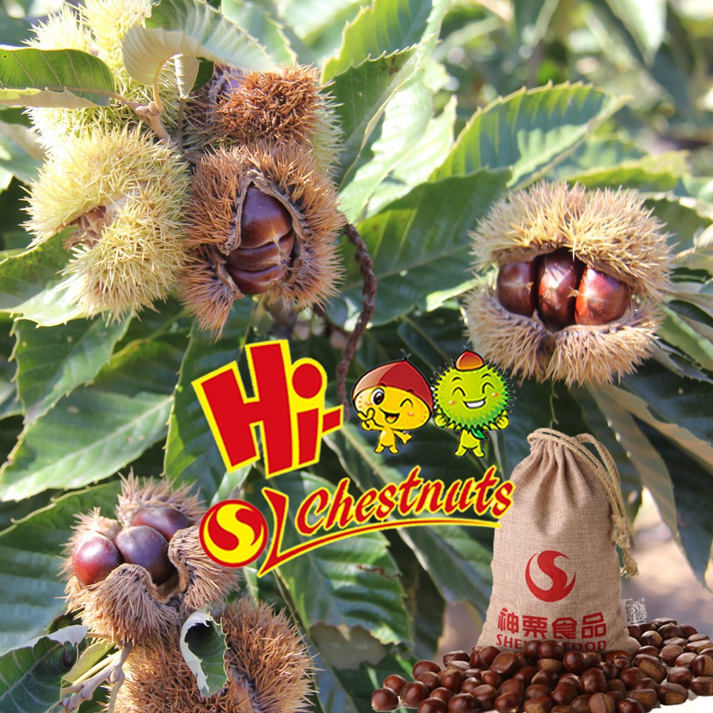 chestnut private label