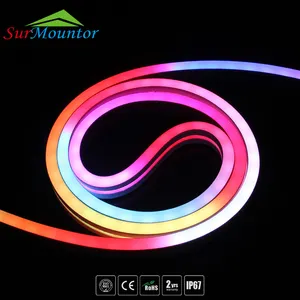 24V Smart Magic Adressierbar TM1914 IC Wasserdicht Neon Flexibel RGB 5050 Traum farbe Tira Luces Silikon LED Lichtst reifen