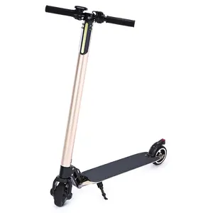 4.4AH 5.5 Inch 36V 250 Wát Folding Electric Scooter Cho Người Lớn