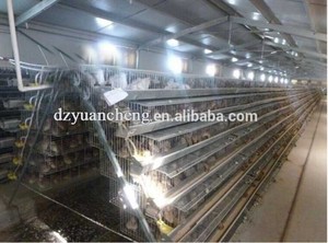 Ventes en gros direct d'usine <span class=keywords><strong>de</strong></span> cages d'élevage <span class=keywords><strong>de</strong></span> cailles à batterie (types H et A, bonne qualité, fabriqué en <span class=keywords><strong>Chine</strong></span>) - Product Image 4
