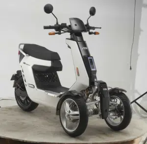 V28 3 tekerlekli büyük güç elektrikli yolcu üç tekerlekli bisiklet geri vitesli üç tekerlekli bisiklet elektrikli Scooter için yetişkin