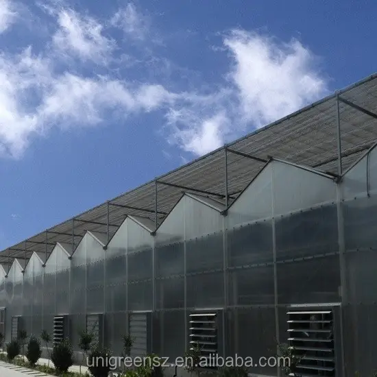 高効率ベンロ強化ガラス温室