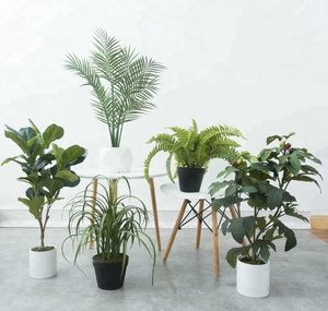 Plástico al por mayor tela verde hierba bonsai falso plantas artificiales - Product Image 3